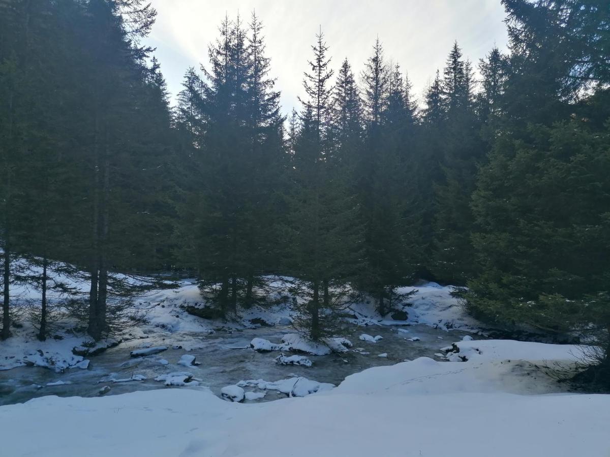 Ferienwohnungen Unterangerhof Quinzo Esterno foto